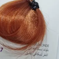 دوره های تخصصی رنگ و لایت