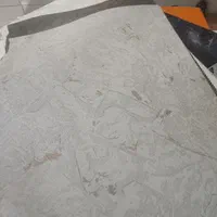 کاغذ دیواری جقه بته ای روشن دارای pvc|مصالح و تجهیزات ساختمان|تهران, هاشمی|دیوار