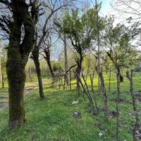 600متر زمین ویوجنگل شهرک سرسبزاقساطی زیرقیمت تهاتر|فروش زمین و ملک کلنگی|آمل, |دیوار