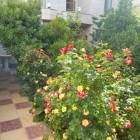 ویلا دوخواب وتکخوابه باپارکینگ باغ رضوان مهدیشهر|اجارهٔ کوتاه‌مدت آپارتمان و سوئیت|سمنان, |دیوار