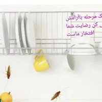 سمپاشی.صدردصدتضمینی سم پاشی سوسک وساس و...|خدمات نظافت|تهران, آذری|دیوار