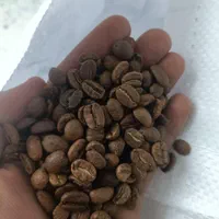 پخش دان قهوه مستقیم از روستری روبستا و عربیکا و..|خوردنی و آشامیدنی|مشهد, فرهنگ|دیوار