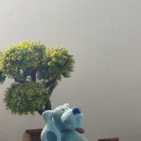 شریک