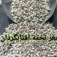 مغز تخمه آفتابگردان شمشیری و روغنی سالم و شکسته|خوردنی و آشامیدنی|تهران, منصوریه (پل سیمان)|دیوار