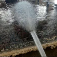 قالیشویی قوچان|خدمات نظافت|قوچان, |دیوار