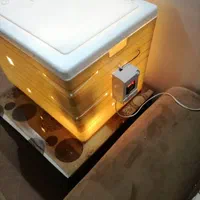 دستگاه جوجه کشی تضمینی