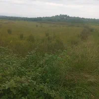 ۴۵۰۰ متر زمین