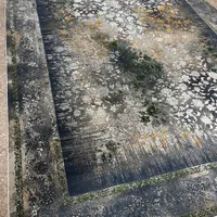 فرش ۱۲۰۰شانه ۳۶۰۰تراکم گلبرجسته|فرش|یزد, |دیوار