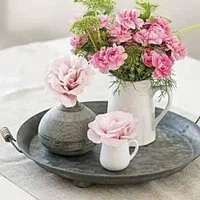 ورزش بانوان پارک تندرستی ویژه