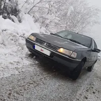 پژو 405 GLX - دوگانه سوز CNG، مدل ۱۳۸۹