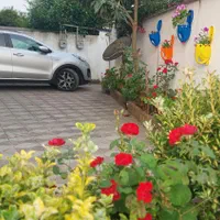 سوئیت بام چالوس ویوابدی ارتباط بامالک|اجارهٔ کوتاهمدت آپارتمان و سوئیت|چالوس, |دیوار