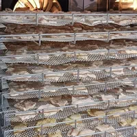 تولیدات دستگاه خشک کن میوه قارچ ..سبزی|ماشینآلات صنعتی|یزد, |دیوار