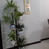 استند گلدان پایه گلدان جاگلدانی مدل ستونی|گل و گیاه طبیعی|تهران, شهرک امام خمینی|دیوار