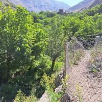 ۱۲۰۰متر باغ ۳۵کیلومتری جاده چالوس،روستای مورود|فروش زمین و ملک کلنگی|آسارا, |دیوار