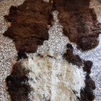 پوست بره