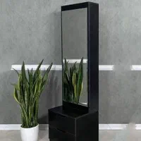آینه قدی دو مشاب ریلی