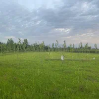 فروش زمین ۳۵۹۰ متری در روستای تکرم|فروش زمین و ملک کلنگی|رشت, استقامت ۱|دیوار