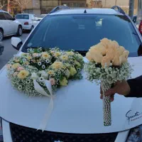 ماشین عروس|گل و گیاه طبیعی|اصفهان, شمس آباد|دیوار