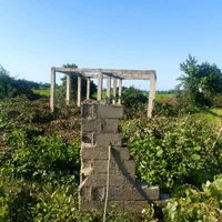 ۵۰۰ متر زمین مسکونی با پروانه|فروش زمین و ملک کلنگی|رضوانشهر, |دیوار