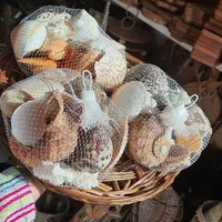 سبد صدف دکوری|صنایع دستی و سایر لوازم تزئینی|رشت, گلباغ نماز|دیوار