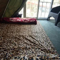 اجاره خانه سوییسی جاده هتل رامسر مرکز شهر|اجارهٔ کوتاهمدت آپارتمان و سوئیت|رامسر, |دیوار