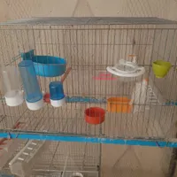 قفس قناری