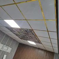 فروش سقف کاذب ۶۰*۶۰و کناف ترمووال مستقیم ازکارخانه|خدمات پیشه و مهارت|مشهد, موسوی قوچانی|دیوار