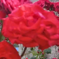 راهنمایی