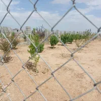 فروش ۵۰۰مترزمین باغی شاهین شهر اقساطی سند تک برگ|فروش زمین و ملک کلنگی|اصفهان, دشتستان|دیوار