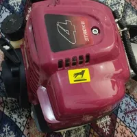 علف زن