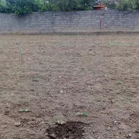 فروش  زمین مسکونی بندرانزلی روستای معاف|فروش زمین و ملک کلنگی|بندر انزلی, آذربایجان|دیوار