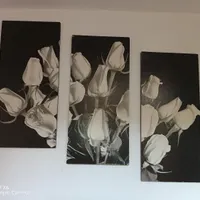 تابلو، مجسمه، گیتار