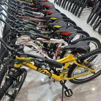 نمایندگی ویوا اصلی در ملایر( فروشگاه بیات)