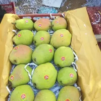 فروش ۲۴هکتار باغ میوه سرپوشیده استان قزوین|فروش دفتر صنعتی، کشاورزی، تجاری|اصفهان, خواجو|دیوار