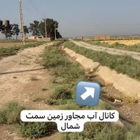 فروش زمین کشاورزی ۵۷۰۰ متری در ورامین (داوودآباد)|فروش دفتر صنعتی، کشاورزی، تجاری|قرچک, داوود آباد|دیوار