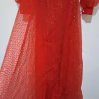 لباس مجلسی|لباس|ساری, |دیوار