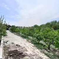 زمین ۳۰۰متری برق گاز  اب کشاورزی زکی اباد شهرکی|فروش زمین و ملک کلنگی|کرج, برغان|دیوار