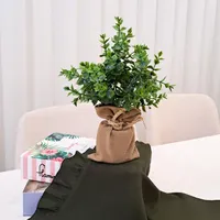گل مصنوعی شمشاد بار گلدان حصیری