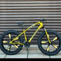 غول مرحله آخر/دوچرخه۲۴.۲۶.۲۹/ساحلی اقساط چک