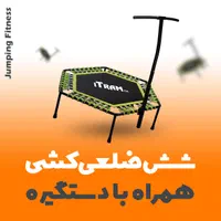 ترامپولین باشگاهی دسته دار اقساطی/قسطی|تجهیزات ورزشی|شیراز, پانصد دستگاه ارتش|دیوار