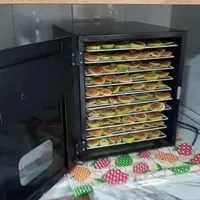 میوه و سبزی خشک کن نیمه صنعتی و صنعتی T555 توربو