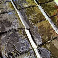 سبزی خورشتی پُرسرخ و معطر با ضمانت مرجوعی|خوردنی و آشامیدنی|قم, باسکول|دیوار