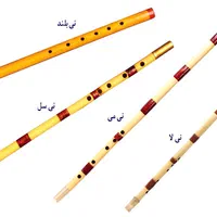 آموزش تخصصی نِی هفت بند در آموزشگاه موسیقی|خدمات آموزشی|اراک, |دیوار
