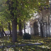 حیاط خانه کلنگی نازی آباد شرقی
