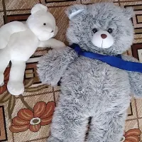 عروسک شاسخین
