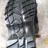 معاوضه کفش کار نو سایز۴۳با پرنده زینتی.اکواریوم