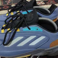 کفش ادیداس اصل