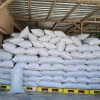 چای بهاره قلم صادراتی کد ۳۴ خاندشت|خوردنی و آشامیدنی|لاهیجان, شیخ زاهد|دیوار