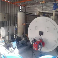 دستگاه بویلر روغن داغ Zagros دیگ بخار|ماشین‌آلات صنعتی|شیراز, رکن‌آباد|دیوار