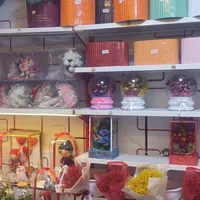 قفسه چوبی وفلزی|کتابخانه، شلف، قفسه‌های دیواری|رباط‌کریم, |دیوار